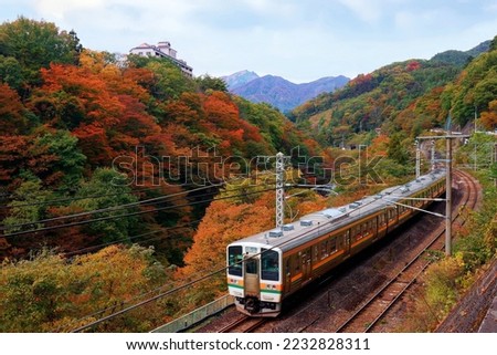 Autumn scenery of a local train of JR Joetsu Line traveling along a valley between Minakami and Kamimoku, with beautiful fall colors on the hillside and Mount Tanigawa in background, in Gunma, Japan Royalty-Free Stock Photo #2232828311