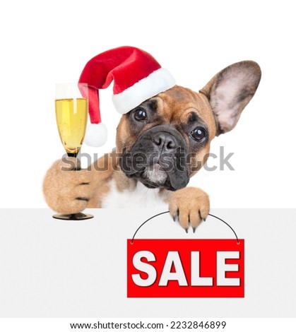 Funny french bulldog puppy wearing red christmas hat holds glass of champagne and shows signboard with labeled "sale" and looks above empty white banner. isolated on white background