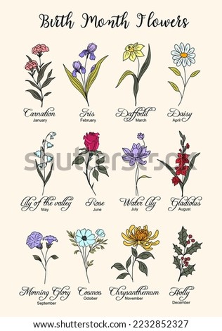 Set of Birth Month flowers colorful line art vector illustrations. Carnation, iris, daffodil, daisy, rose, lilies of the valley, gladiolus, holly, cosmos hand drawn design for jewelry, tattoo, logo. 