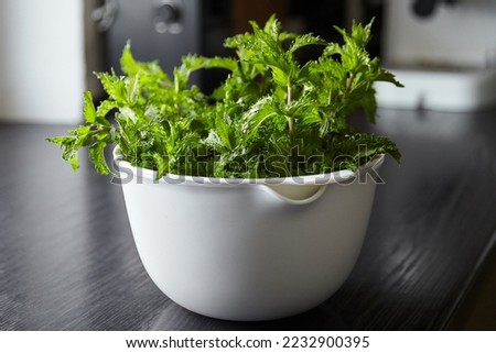 Fresh mint herb leaves in white bowl on dark wooden kitchen table. Green mint bunch. Cooking food with fresh mint herb ingredient