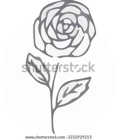 Black and white rose. rose symbol