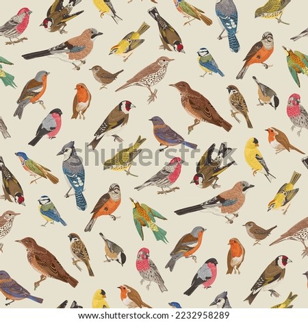 Birds. Seamless pattern. Vector vintage illustration. 