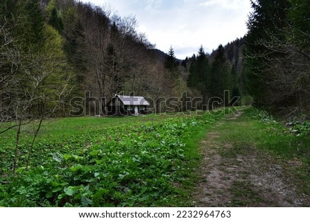 forester's house in the woods  Royalty-Free Stock Photo #2232964763