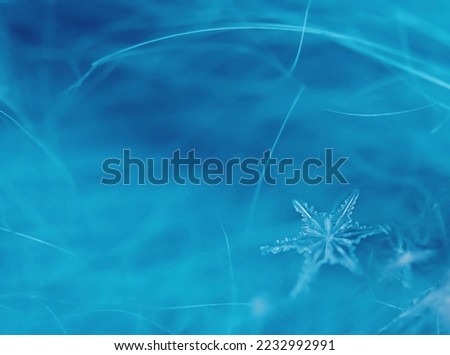 abstract winter background in blue-turquoise shades with snowflake