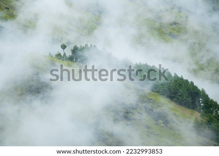 Foggy and Moody Green Forest of Bajhang Bajura Nepal