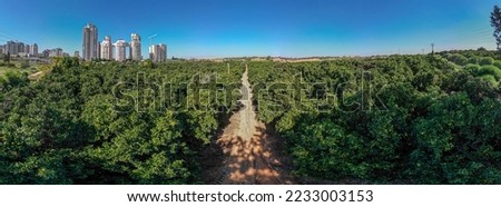 High resolution Drone Panoramic Photo of the last remains of Rechovot old historical orange fruit orchards and vast agricultural open fields on the Eastern outskirts of the city of Rehovot- Israel Royalty-Free Stock Photo #2233003153