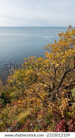 On the Black Sea coast near the village of Dzhubga. Russia. Krasnodar region.     