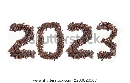 2023 Written with Cloves Spice Isolated on White Background in Horizontal Orientation, Happy New Year 2023 Wishing Conceptual Photo Royalty-Free Stock Photo #2233020507