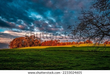 Forest meadow in the rays of autumn morning. Countryside in autumn. Autumn rural landscape. Farm field in autumn outdoors Royalty-Free Stock Photo #2233024605