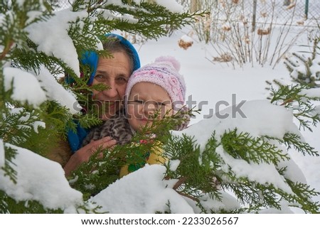 looking out through green fir tree branches in winter,a little girl and her grandmother look through the branches of a spruce in winter