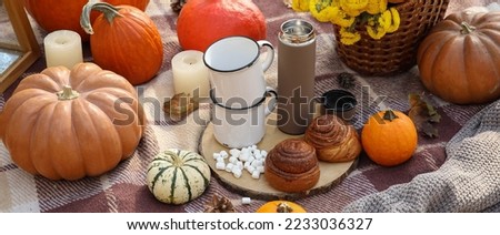 Tasty food and hot drink for romantic picnic on autumn day
