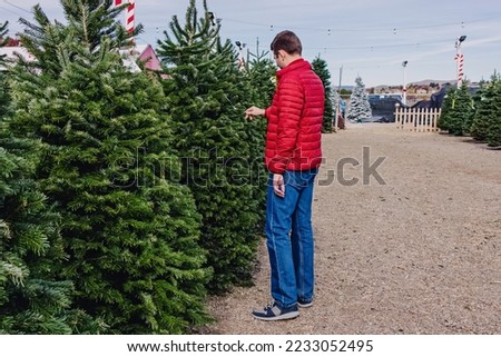 Man in a red jacket choosing a Christmas tree on the holiday market. Looking on the price tag