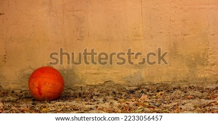 An old orange basketball ball in front of a dirty wall. The ball stands on the sand and autumn leaves. Landscape Ball photograph.