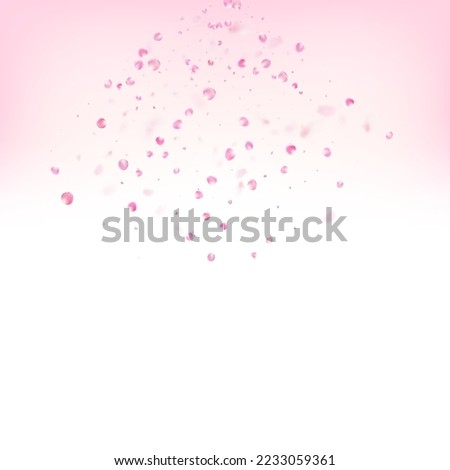Rose Petals Flying Confetti. Elegant Premium Magic Pattern. Falling Japanese Rose Cherry Sakura Petals Poster. Blooming Cosmetics Ad Female Flower Background. Windy Leaves Confetti Frame.
