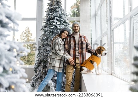 Photo session in the studio of a young couple. A family couple with a dog. New Year's story.