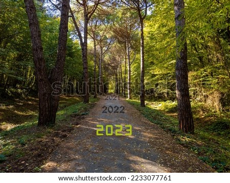 Happy New Year 2023. Transition from 2021 and 2022 to new year concept with 2023 text on forest road. Photo image can be used as large display, print, website banner, social media post.