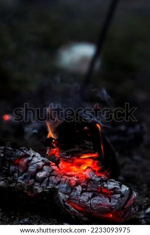 Smoldering logs, heat, fading fire, ashes. Autumn rural landscape, macro photography. Autumn photo, wallpapers
