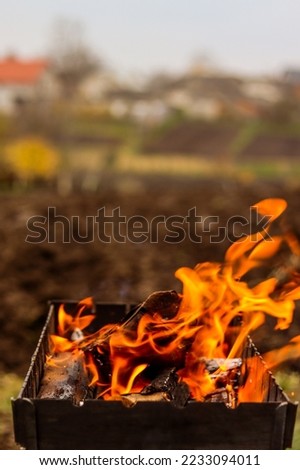 Burning logs in the grill, heat, fire, light, ashes. Autumn rural landscape, macro photography. Autumn photo, wallpapers