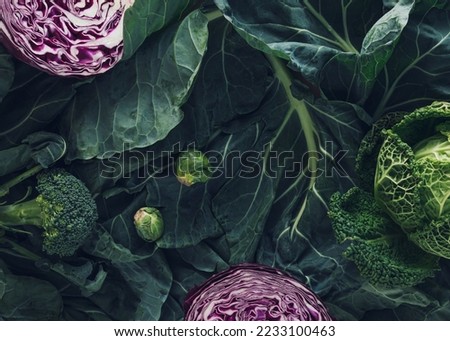 Winter vegetables high in antioxidants, minerals and vitamins: greens, broccoli, brussels sprouts, red cabbage and kale. Flat lay. Garden food concept. Agricultural products. Top view. Dark background Royalty-Free Stock Photo #2233100463