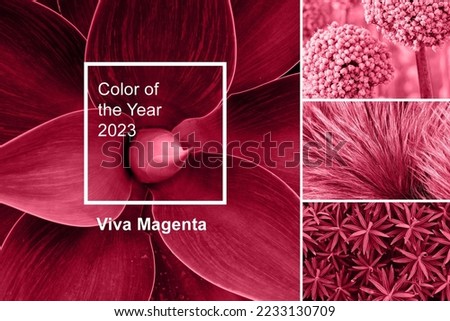 Trendy color of year 2023 - Viva Magenta. Fashion color palette sample. Abstract floral pattern swatch colors collage. Viva Magenta Royalty-Free Stock Photo #2233130709