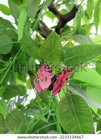 A very beautiful pink butterfly perched on a tree with green leaves.