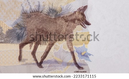 Maned wolf, Portrait from Brazil 200 Reais 2020 Banknotes. 