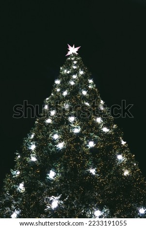A Christmas tree picture in Myeongdong, Korea