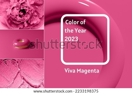 beautiful collage of different uses of new magenta color of the year 2023 with flower and donut