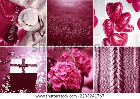 Collage toned in magenta trendy color 2022. Inspiration pictures.