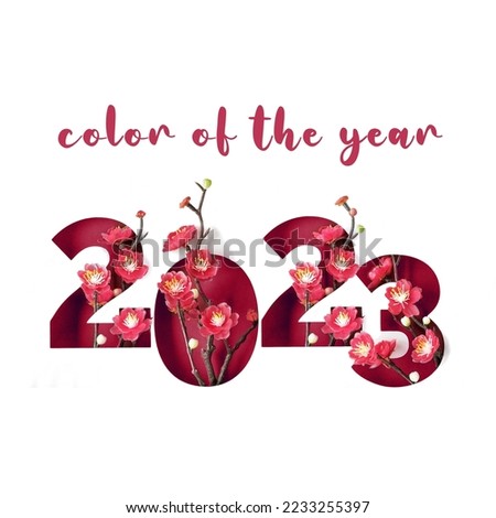 Viva Magenta color of the year 2023. Happy Chinese new year 2023 year of the rabbit lunar cycle. Number outlines with red plum flowers on dark red paper.