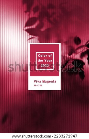 background of blurry plants behind glass. New 2023 trending PANTONE 18-1750 Viva Magenta color