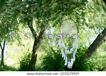 Dreamcatcher in forest, mystical protect amulet