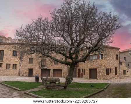 Sunset in the medieval village of Medinaceli (Soria) in the picture we can see the typical medieval stone houses and in the middle a tree without leaves with the approach of winter. Spain