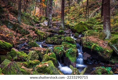 Forest stream on mossy stones in autumn. Mossy forest brook in autumn. Autumn forest brook landscape. Mossy forest in autumn landscape Royalty-Free Stock Photo #2233290715