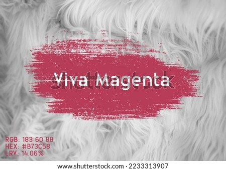 Viva Magenta - color of the year 2023. Magenta color background. trend color 2023