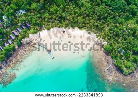 Sea white sand beach turquoise water with palm summer vacation concept aerial view