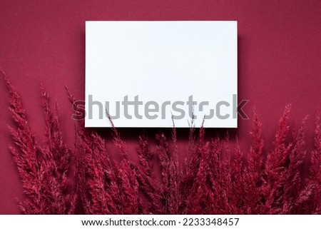 Mockup with empty blank paper and dried pampas grass over pastel beige background. Minimal, stylish, monochrome concept. Flat lay, top view. Color viva magenta of the year 2023.