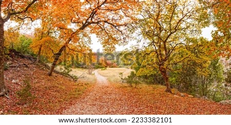 Maple Forest Wonderland at Lost Maples State Natural Area Vanderpool Texas Hill Country Royalty-Free Stock Photo #2233382101