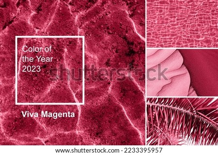Color of year 2023 Viva Magenta. New Fashion color palette sample. Abstract natural sea, sand and palm leaf texture pattern swatch colors collage. Image toned in color of the year 2023 viva magenta