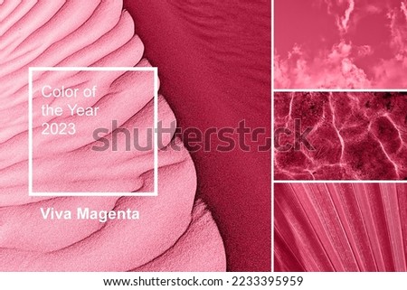 Color of year 2023 Viva Magenta. New Fashion color palette sample. Abstract natural sea, sand and palm leaf texture pattern swatch colors collage. Image toned in color of the year 2023 viva magenta