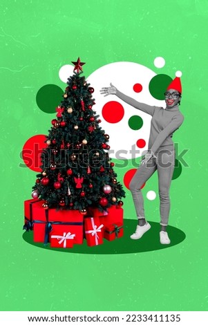 Vertical collage image of excited positive black white colors girl showing decorated pine fir tree isolated on drawing background