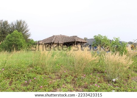 Traditional hut with landscape background, India 