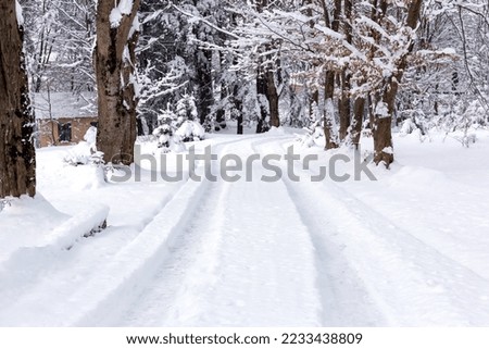 Winter. Snowfall. Wavy snowy road in the forest