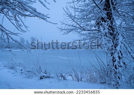 Beautiful winter landscape in blue tones. Snow-covered trees on the bank of a frozen river after a snowfall