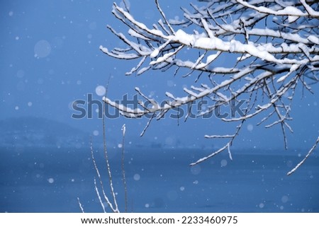 Winter landscape with snow-covered tree branches on the river bank during a snowfall. Beautiful winter landscape. in the foreground trees in the snow, through which you can see the river.