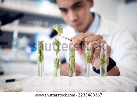 Hands, plant scientist and laboratory test tubes in plant growth research, climate change solution or organic medicine analytics. Zoom, man and worker in food study science or agriculture innovation Royalty-Free Stock Photo #2233468367