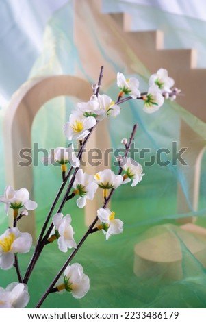 Nice tree branch with spring white blossom on beige geometric figures background and green transparent veil. Minimalist photo