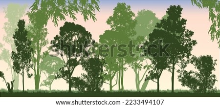 Lots of different shades of green forest of Australian gum tress with sunset background