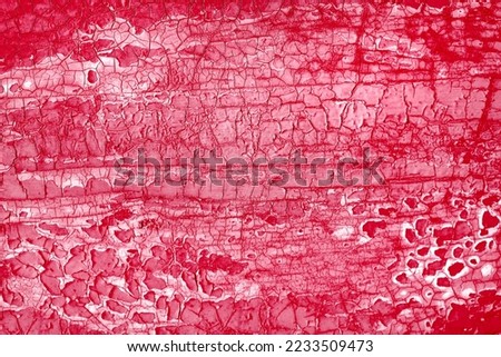 DIstressed aged wooden board with peeling paint toned in Viva Magenta color of year 2023. Monochromatic textured surface. Aged wood surface, high resolution image element with copy-space, text space.