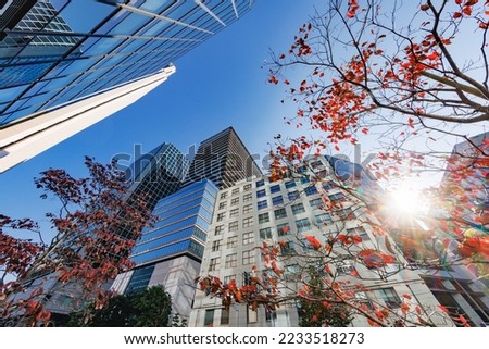 A group of buildings in Tokyo with a beautiful morning sun